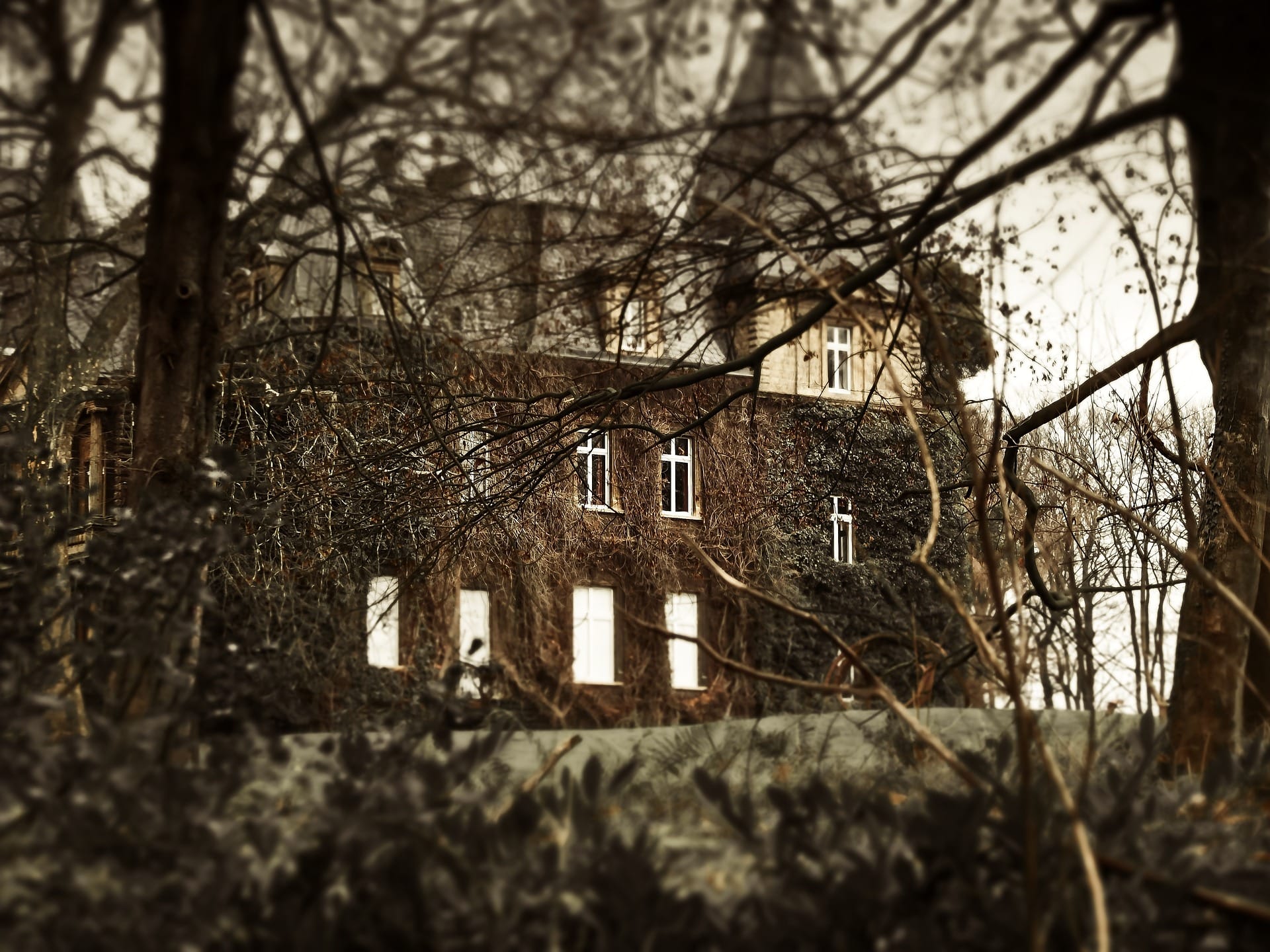 The Wailing Castle